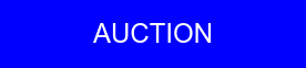 Auction button